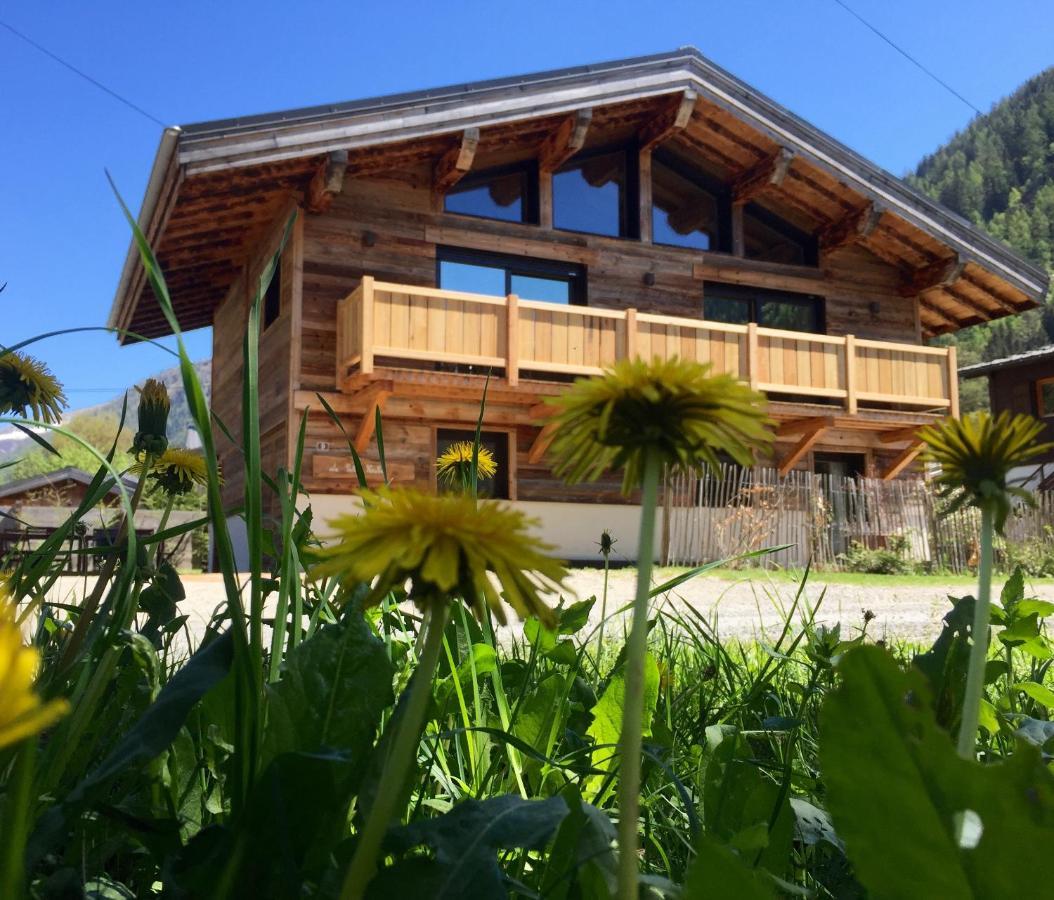 Le Petit Nicolas, Jacuzzi, Vue Mont Blanc Chamonix Mont Blanc